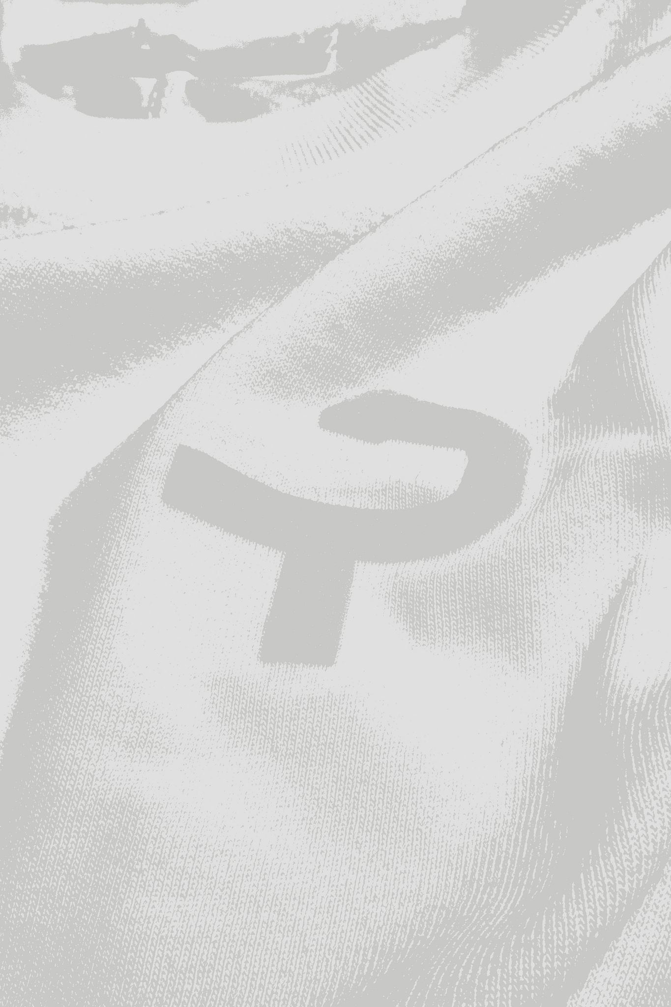 CL AMBLEM BRANDED LONG SLEEVE T-SHIRT
